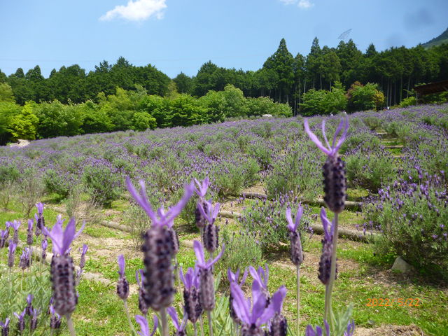 炫n߂łꂢłB_x_[p[N