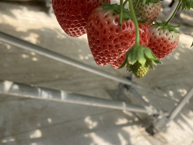 �_������������ �n��