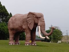 九州自然動物公園アフリカンサファリ 予約 アクセス 割引クーポン じゃらんnet