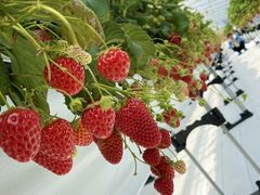 Ȃ݂̃AOX^[XyVւ̓eʐ^2