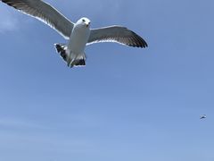 [̏M̓AN[Yւ̓eʐ^2