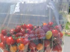 sapikâǂEEH[^[Et@[ւ̓eʐ^1