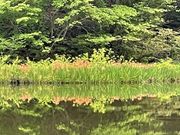 񂳂̕r̃JLco^̓eʐ^3