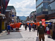 �O���`������̗֓����s�̓��e�ʐ^1