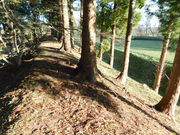 AB̍wjՏOˌːؒnwՂ̓eʐ^2