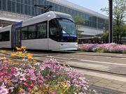 Ƃ񂳂̕xR썑_Ђ̓eʐ^1