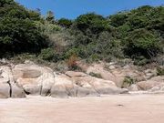 񂳂̃JbN񓰂̓eʐ^4