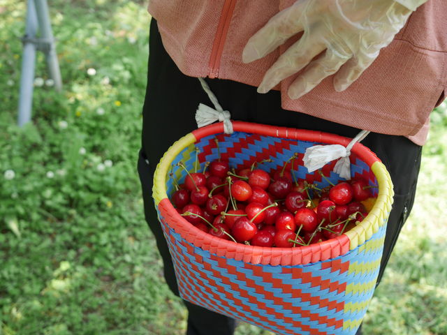 ̍̂̂oׂ邱ƂlƃNN܂I_[_