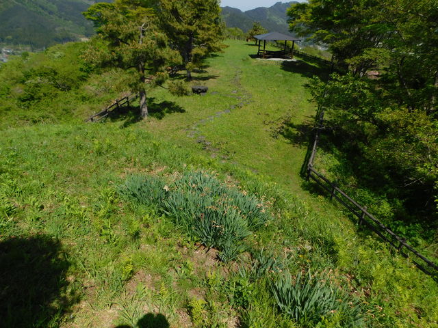 ��s�����s�������낷_��Ə��