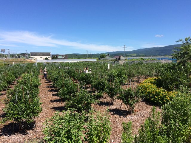 ̓`bv~Ă̂ŕ₷łAT_ƃ`N`N̂ŉ^CŗƂłB_u[x[ x[ނ炨