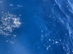 񂠂₳NEWSߔeXւ̓eʐ^1