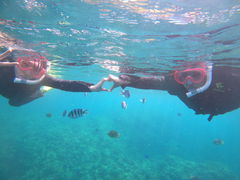 chakoS.E.P.}Nuւ̓eʐ^1