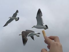 悵߂̏M̓AN[Yւ̓eʐ^3