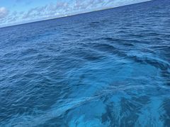 肳NEWSߔeXւ̓eʐ^1