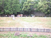 �T���v������̑P������Βn�̓��e�ʐ^6