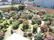 񂳂̐Γc[YK[f̓eʐ^1