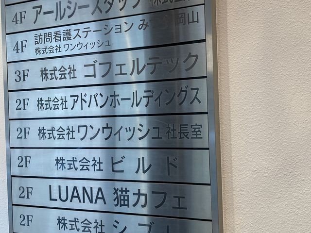 �L���b�g�����h �L�J�t�F���A�i_�L���b�g�����h�@�L�J�t�F���A�i