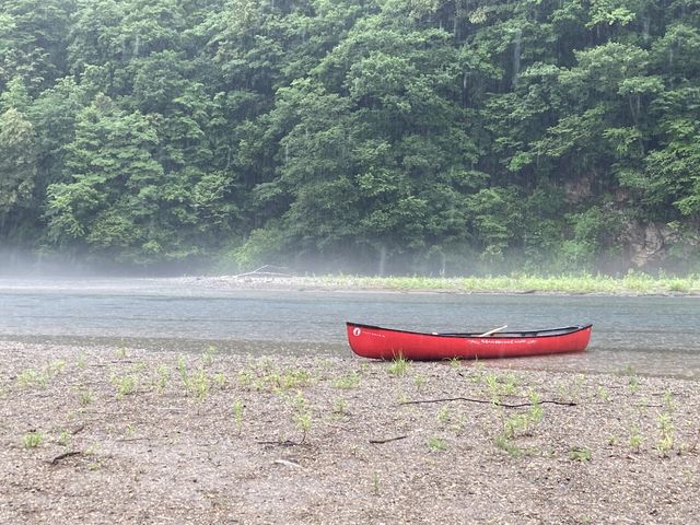 ���ꂪ���₩�Ȃ̂ŁA�������i�F���y���߂܂��B_�A�~���[�Y�X�|�[�c