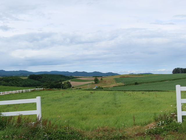 �L���ł�_�V�h�̋u�W�]����