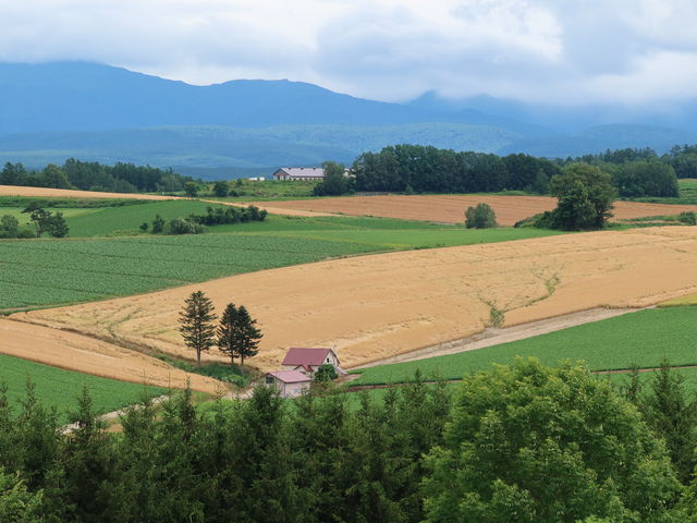 �Ԃ������̉Ƃ́A�������Ԃ��Ȃ������c_�V�h�̋u�W�]����