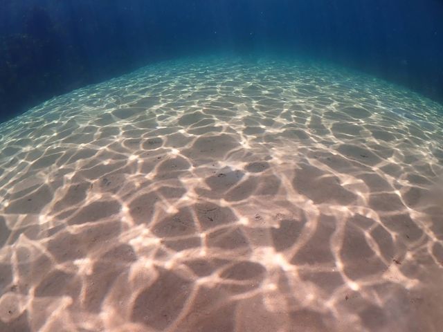 �Y��_�t���[�E�F�C