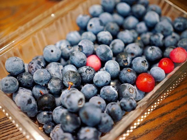 �Ƒ�3�l���̂��݂₰�ł�_Sachi Blueberry Farm