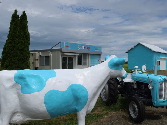 yosshygelatrip̓eʐ^1