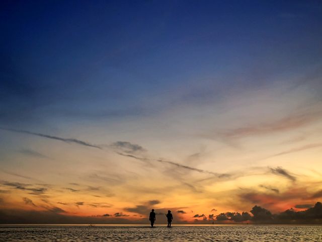 ���Ă��̎ʐ^_summer����܁[