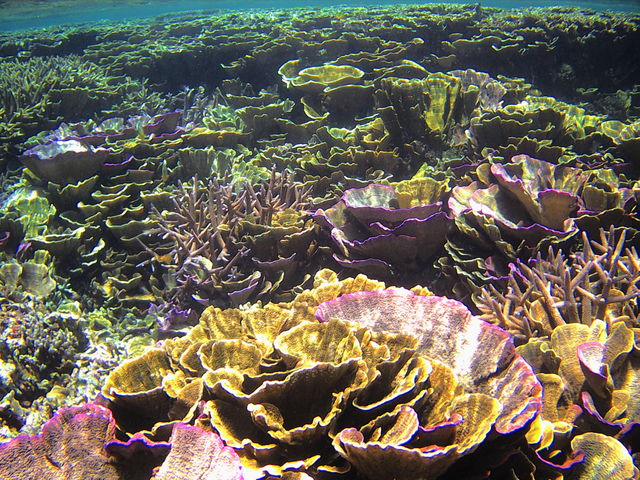 ԂłQڂ̃|CgֈړB͋eԎX̂ԔB_N