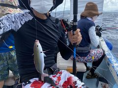 �������񂳂�̏��S�Ґ��ނ�D �t�B�b�V���\���O�ւ̓��e�ʐ^1