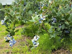 Su[̃u[x[t@[ق肤ւ̓eʐ^1