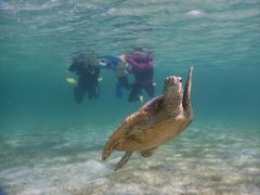 mariSEA ENJOYւ̓eʐ^1