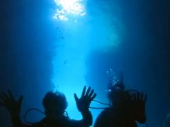 Ɍ̐̓A _CrOVbvaւ̓eʐ^1