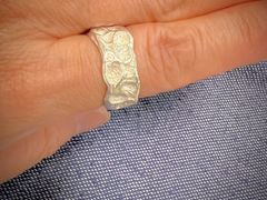 }}̃A[gNCVo[H[Tigreւ̓eʐ^1