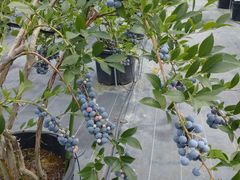 ̂܂u[x[t@[ւ̓eʐ^3