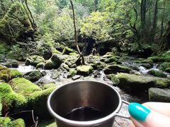 WRYamakaravւ̓eʐ^1