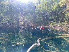 񂳂̃BgJ̓]ւ̓eʐ^1