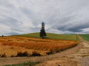 yosshỹpm}[h̓eʐ^1