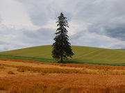 yosshỹpm}[h̓eʐ^2