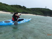 hebelian55̓V@VwPROJECT̓eʐ^2