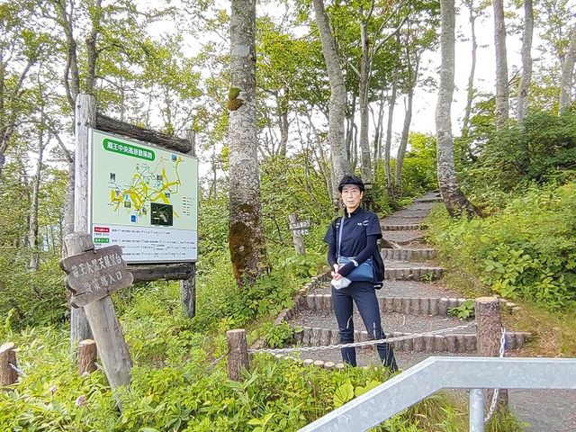 �����������[�v�E�F�C�̎R���w�̘e�ɒ����R�R���֌��������a�̓���������_�������������U���H