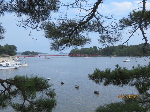 ����_�������R��������