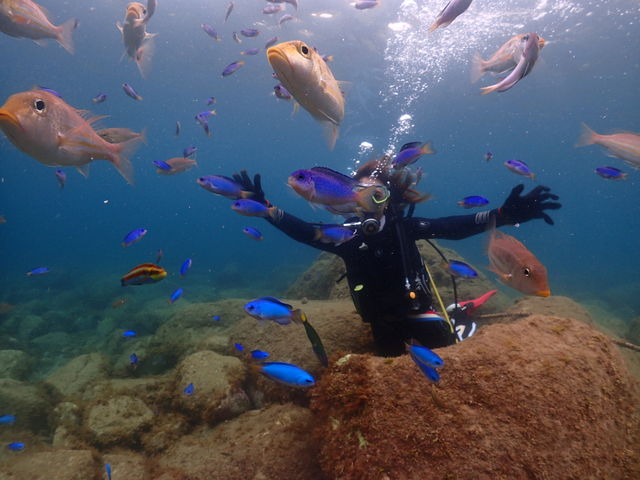 R̋QɉBRɉj邩炱y߂B_NIl_Co[Y