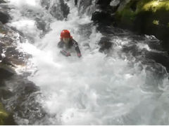 papisukejp̃Ahx`[T|[gւ̓eʐ^1