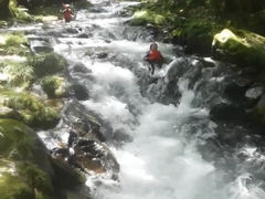 papisukejp̃Ahx`[T|[gւ̓eʐ^2