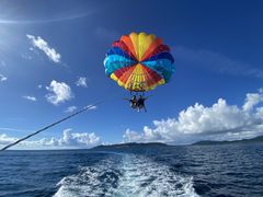 Ђ邳Parasailing NOAւ̓eʐ^1