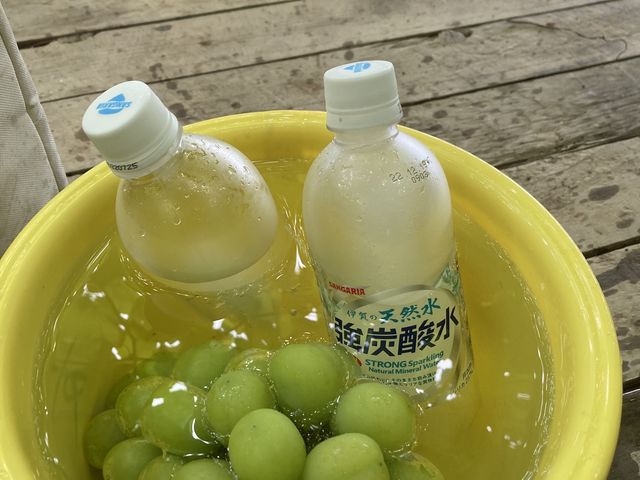 ��[���ƂĂ��傫���I_���˂Ƃ������_��(�����s�ό��Ԃǂ��Z���^�[�����x��)