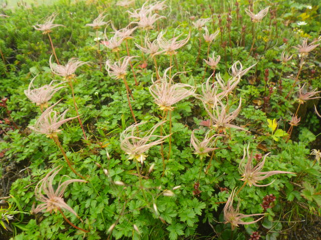 �Ԃ̏I������`���O���}�B_��Ɗx