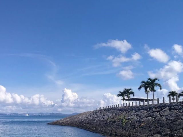 �C�����H���΂炵���I_�������}����