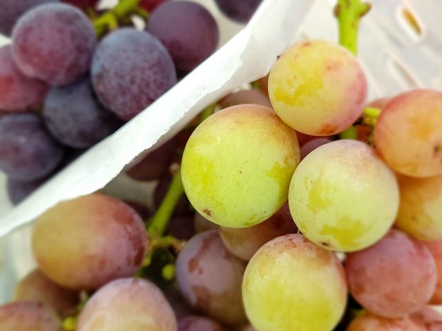 ƂĂāAyāAxsȂ܂B_ނ̂ӂ[